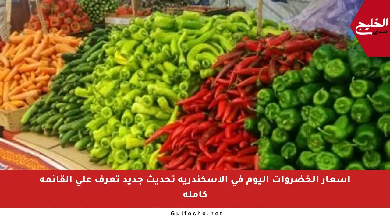 أسعار الخضروات اليوم في الإسكندرية تحديث جديد تعرف على القائمة كاملة